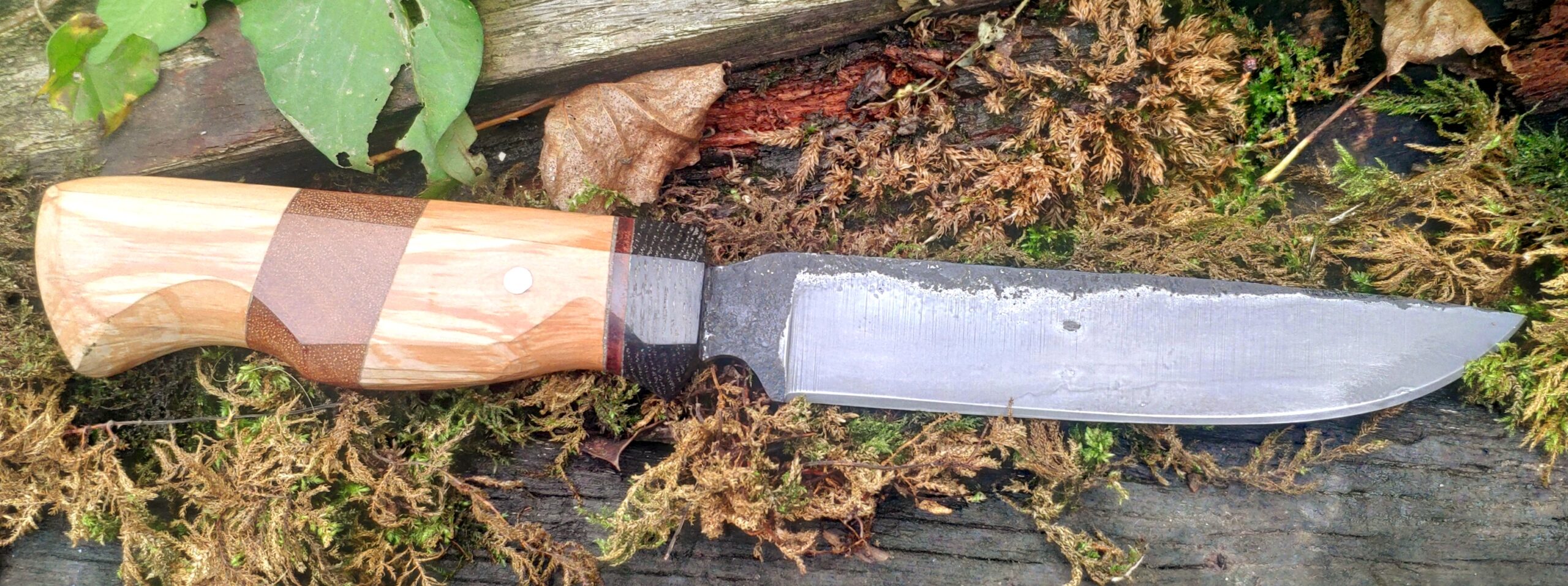 Hand Forged Knife for Camp Cooking — 26c3 Steel hidden tang