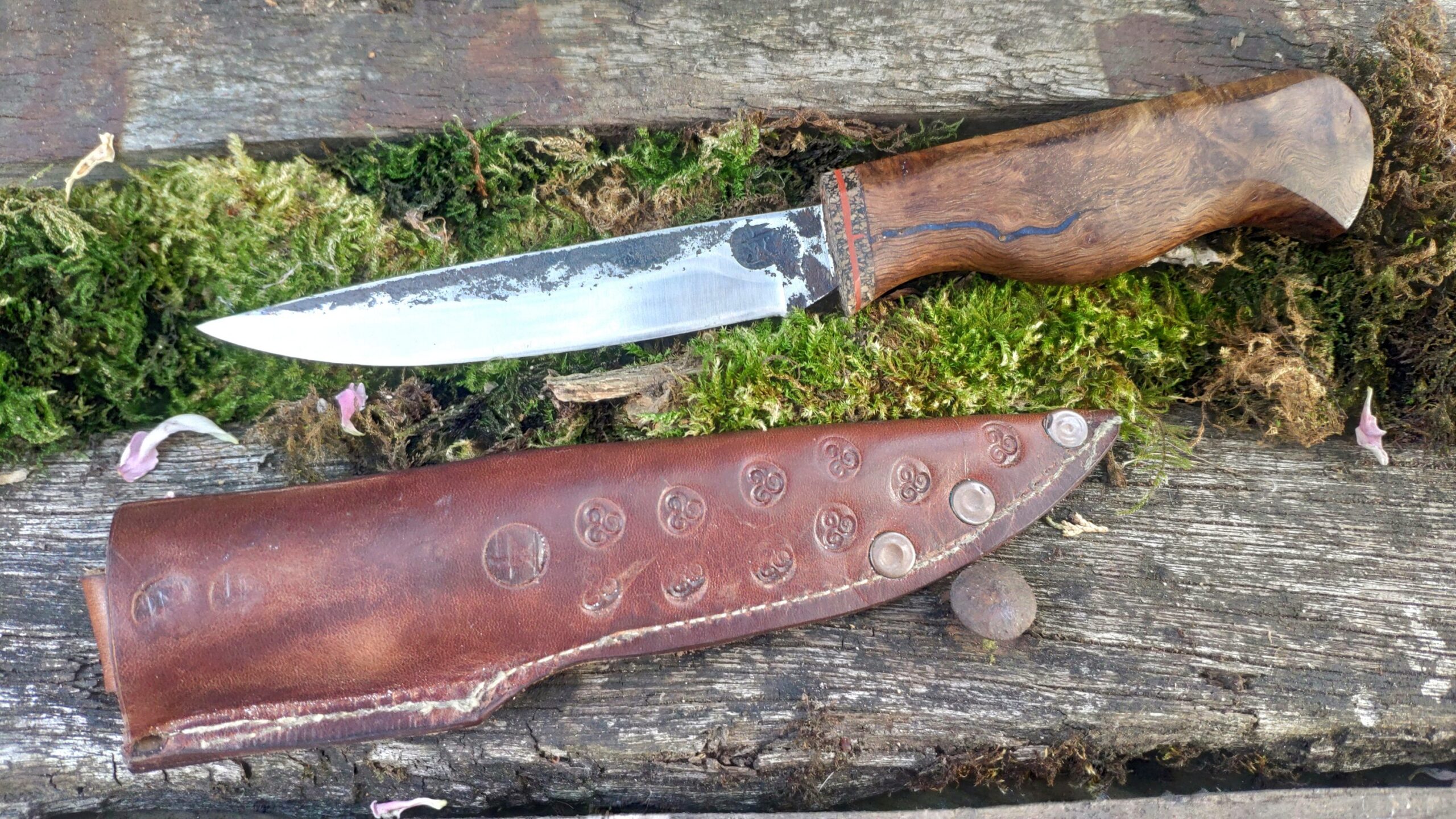 Hand Forged Pairing Knife – Oak Burr Handle (#2)