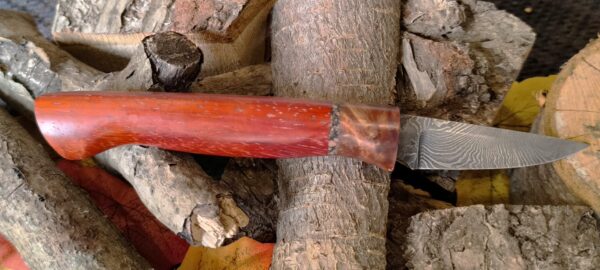 Hand Forged Damascus Steel Sloyd Knife (#49)
