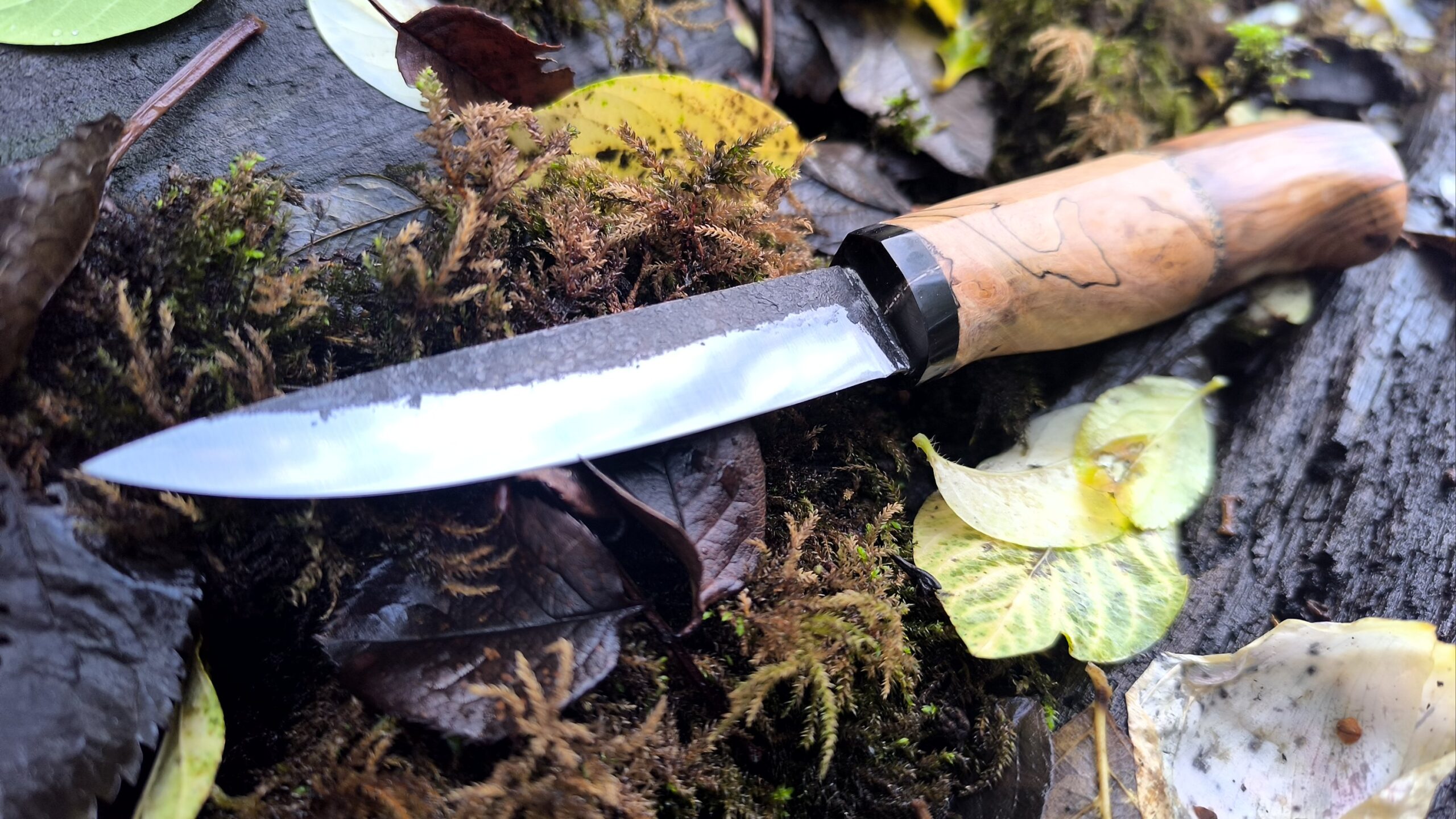 Hand Forged Pairing Knife (#59) - Image 4