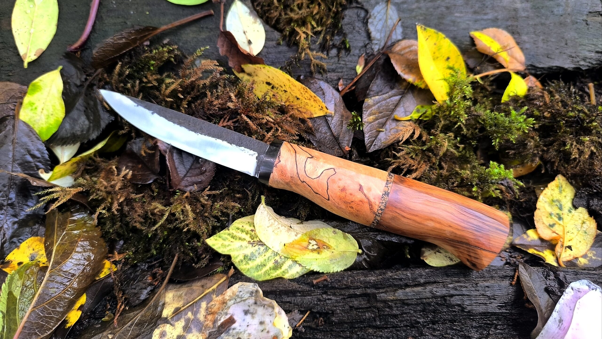 Hand Forged Pairing Knife (#59)