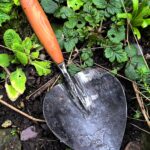 Dutch Planting Trowel — Hand Forged by British Blacksmith