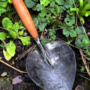 dutch planting trowel with wood handle and full tang