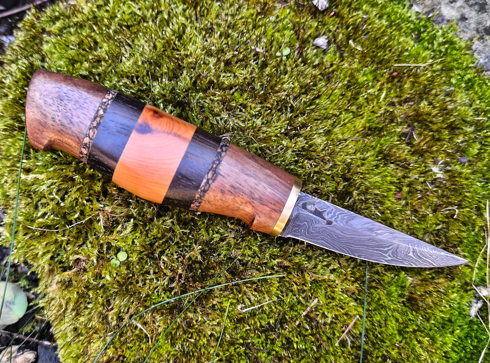 Damascus Steel Sloyd Knife — Hand Forged (#81) - Image 4