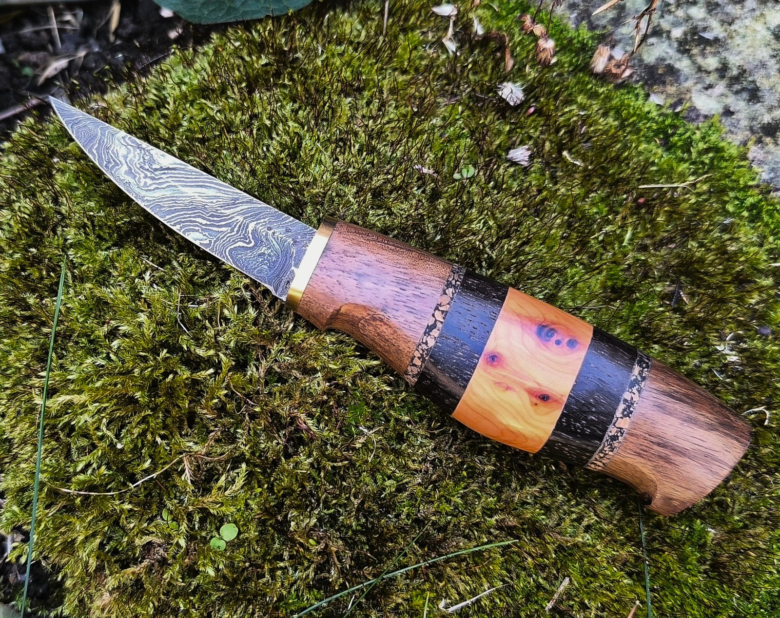 Damascus Steel Sloyd Knife — Hand Forged (#81) - Image 2